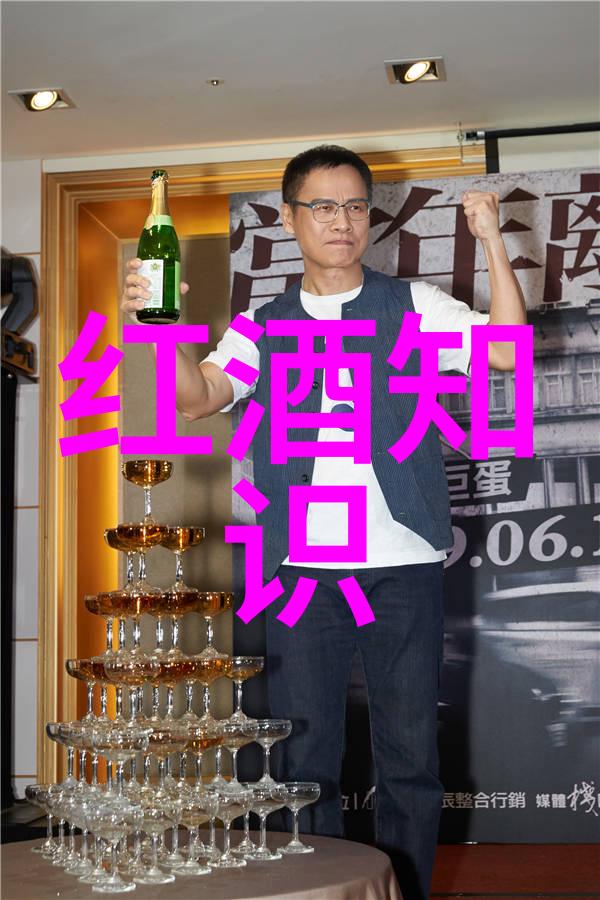 巴黎之花干红葡萄酒价格